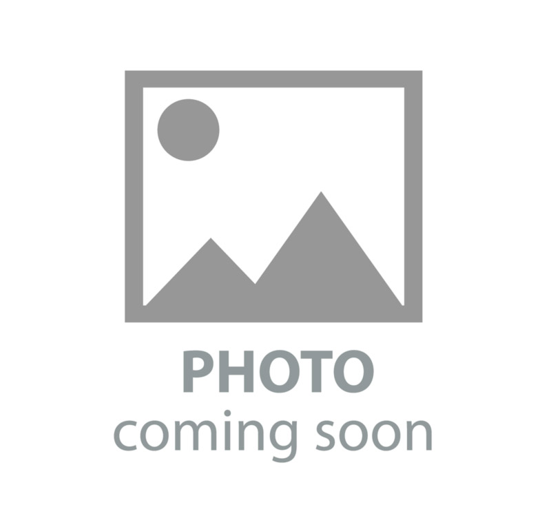 Dyson Big Ball Parquet 2