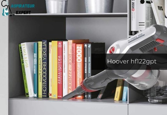 Aspirateur Hoover H-FREE 100 HF122GPT