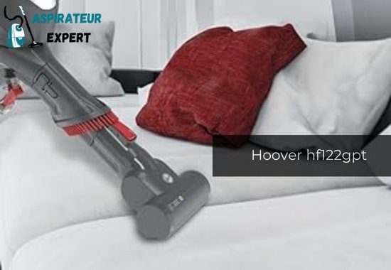 Aspirateur Hoover H-FREE 100 HF122GPT