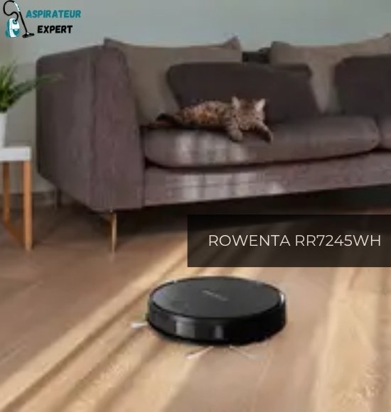 Test et avis de l'aspirateur ROWENTA RR7245WH